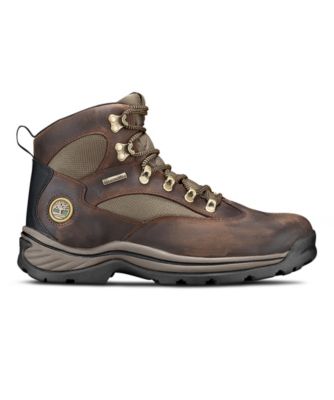 timberland women's chocorua trail boot