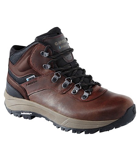 Men's Altitude VI Waterproof Hiking Boots - Brown
