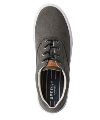 sperry striper ii salt washed cvo sneaker