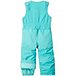 Toddler Girls' 2-4 Years 2 in 1 Frosty Slope Waterproof Winter Jacket and Bib Pants Set