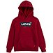 Boys' 7-16 Years Batwing Graphic Fleece Pullover Hoodie