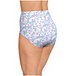 Women's 3 Pack Classic Brief Underwear - Extended Size