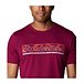 Men's Rapid Ridge Crewneck Graphic Cotton T Shirt