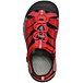Kids' Toddler Newport H2 Quick Dry Sandals Red - ONLINE ONLY