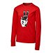 Boys' 7-16 Years Graphic Crew Neck Long Sleeve T Shirt