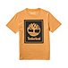 Men's Core Tree Stack Logo Crewneck Organic Cotton T Shirt