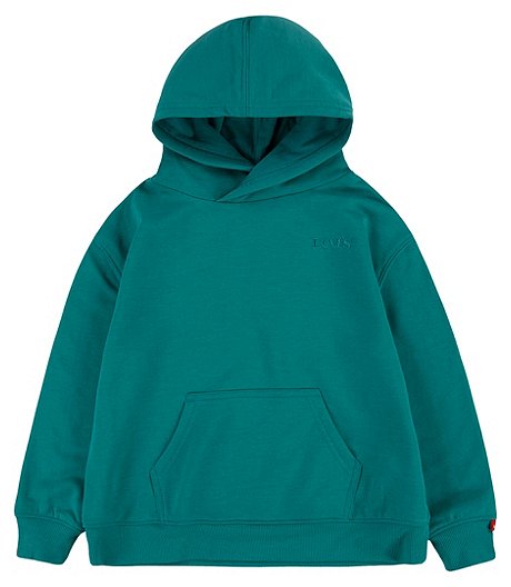 Boys' 4-7 Years Washed Logo Long Sleeve Hoodie Sweatshirt