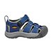 Toddler Newport H2-T Sandals - Blue Depths/Gargoyle - ONLINE ONLY